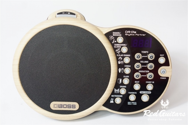 DR-01S Rhythm Partner